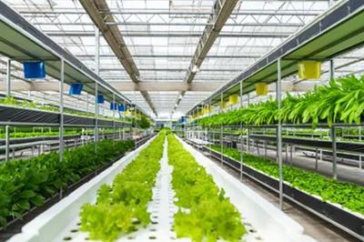 強(qiáng)化農(nóng)業(yè)科技創(chuàng)新與應(yīng)用的內(nèi)容,需實(shí)施現(xiàn)代種業(yè)科技支撐等行動(dòng)