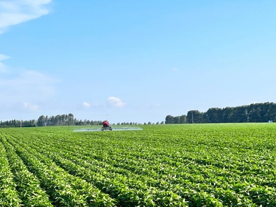 北大荒集團(tuán)育種培&ldquo;芯&rdquo;打好種業(yè)&ldquo;翻身仗&rdquo;