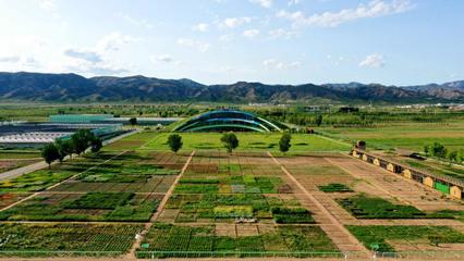 內蒙古草種業技術創新中心獲批!加快向&ldquo;國家級&rdquo;目標邁進