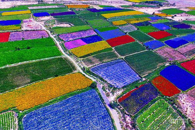 瞰縣域丨甘肅酒泉肅州區:沃野千里育&ldquo;芯片&rdquo; 擦亮種業&ldquo;金招牌&rdquo;