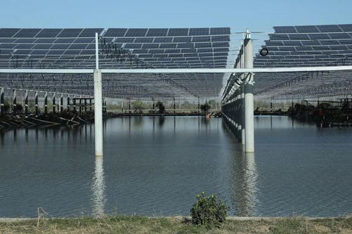 成功簽約建設(shè)贛榆特色現(xiàn)代化設(shè)施漁業(yè)低零碳園區(qū)，助力種業(yè)發(fā)展新篇章